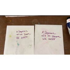 “Lilies and Her” — an oil diptych story on paper  An original pair of paintings, 15×20 cm each